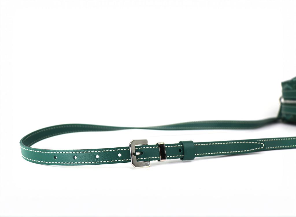 GOYARD Sac CapVert PM Bag, Goyardine Canvas in Green